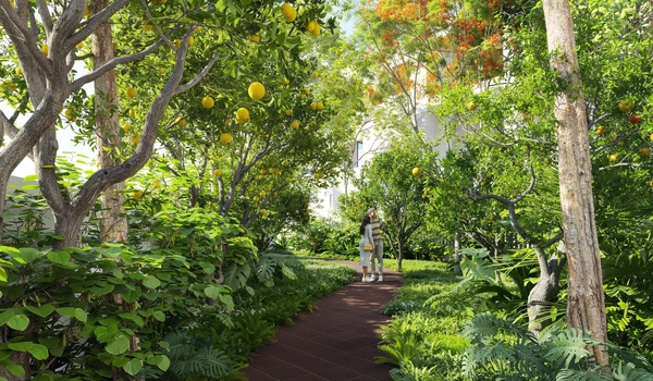 Auro Unnathi Tree Orchard