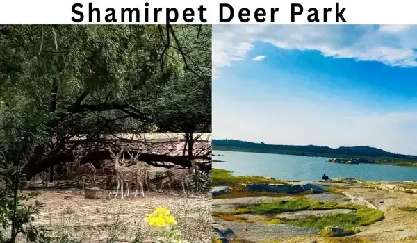 Featured Image of Shamirpet Deer Park